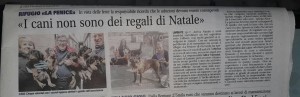 I cani non sono regali di Natale!