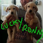 lucky e ronny