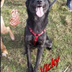 Vicky