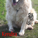 Kendra