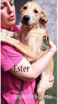 Ester