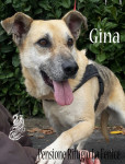 Gina