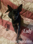 Lady