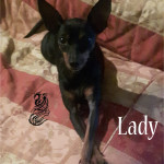 Lady