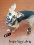 Gigi