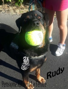 Rudy