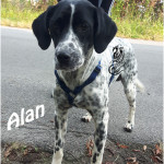 Alan