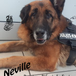 neville