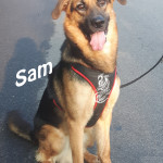 Sam