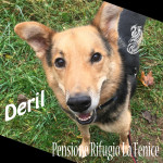 deril