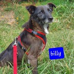 Billy