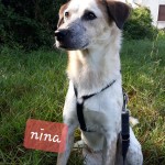 Nina