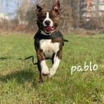 Pablo