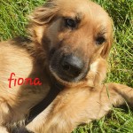 Fiona