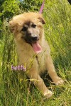 Betty