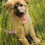 Betty