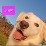 Nora