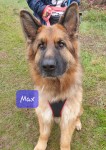 Max