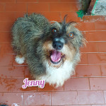 Jenny