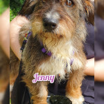 Jenny