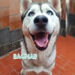 Ragnar