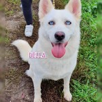 Bella