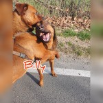 Billy