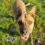 Argo