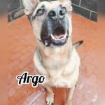 Argo