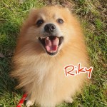 Riky