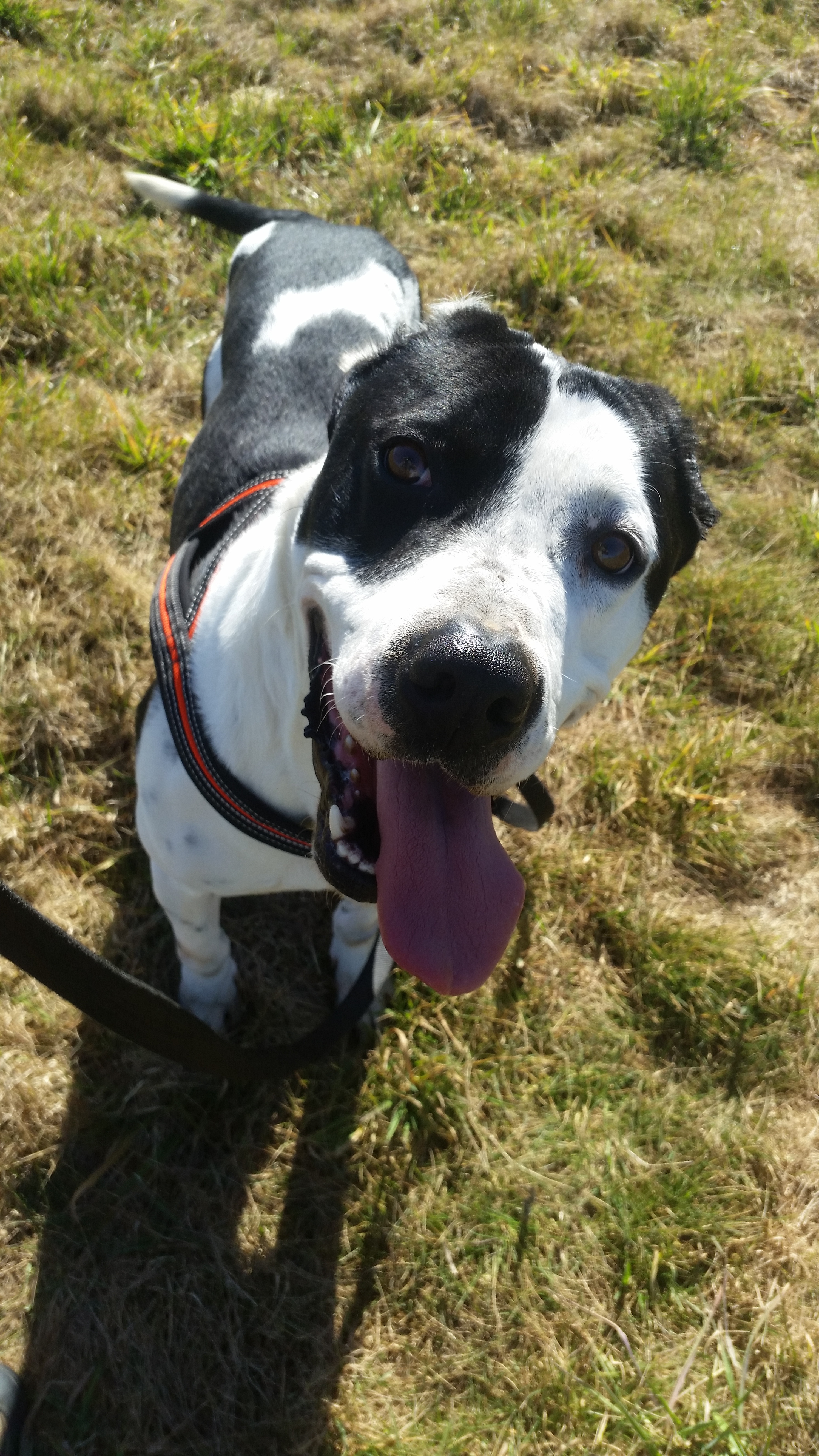 Moro