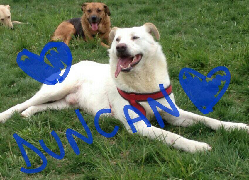 Duncan