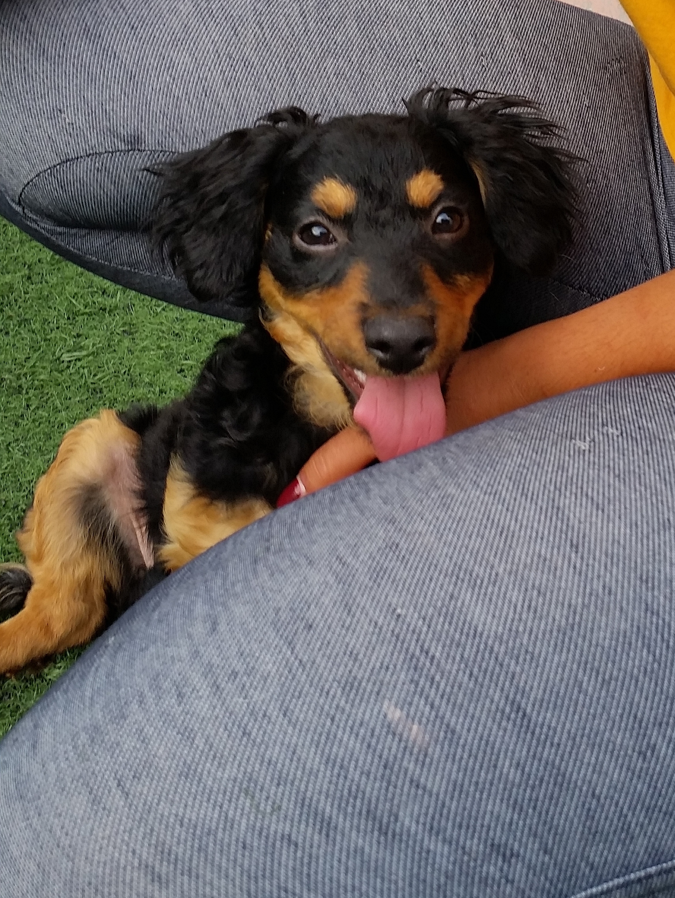 Dora