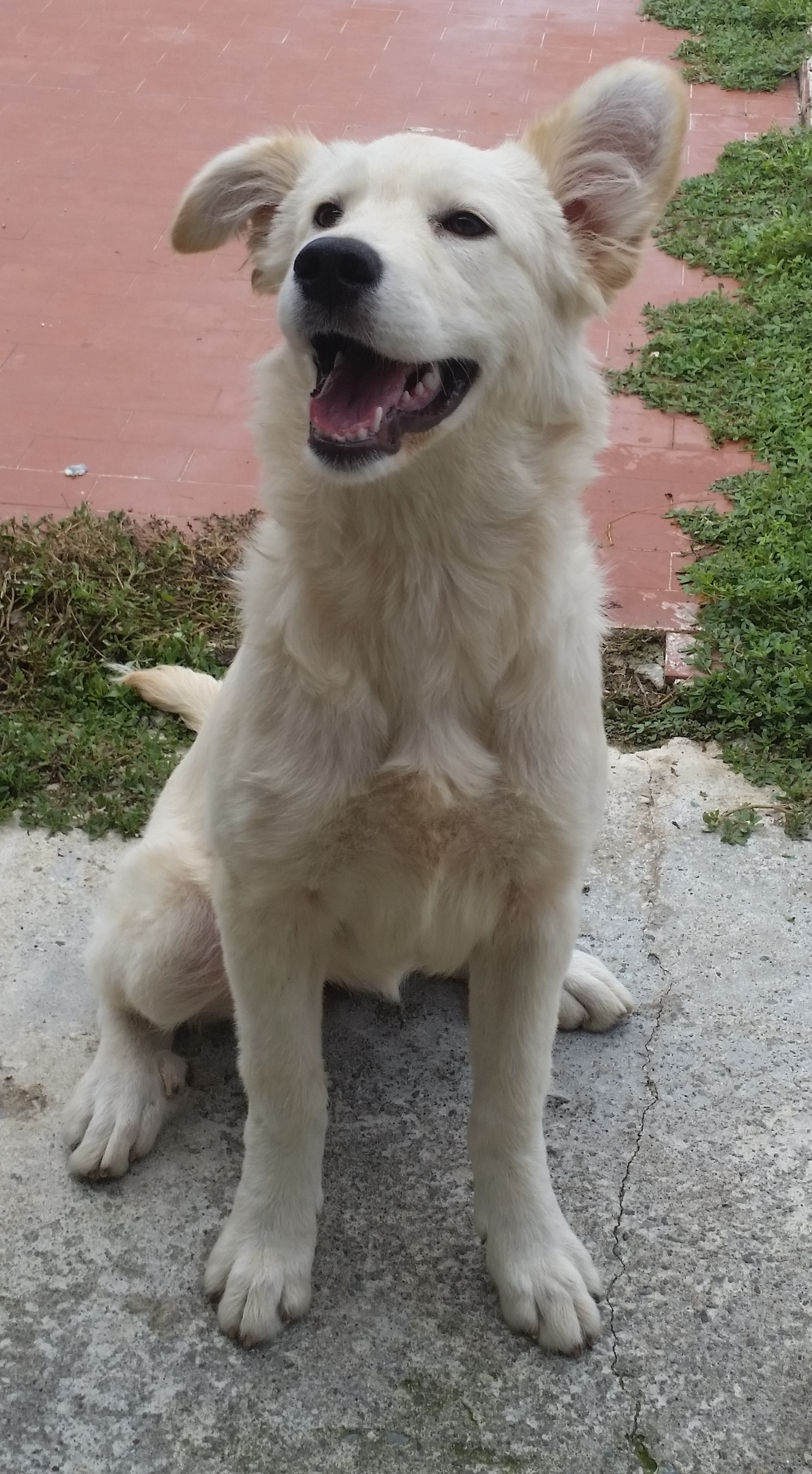 Gilda