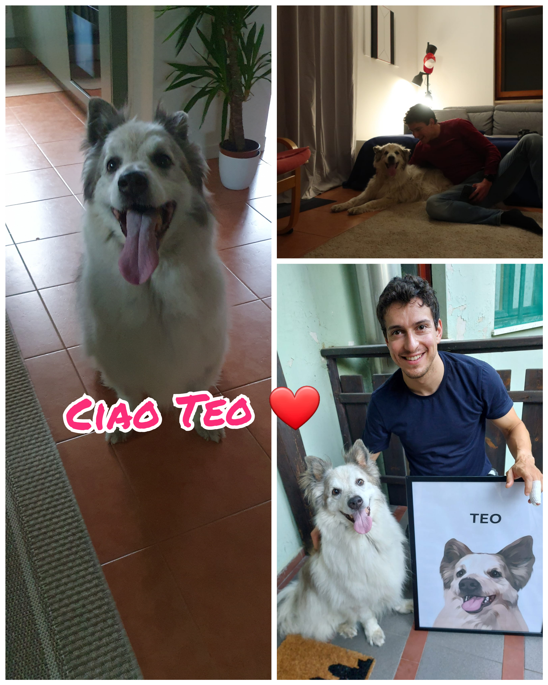 Teo