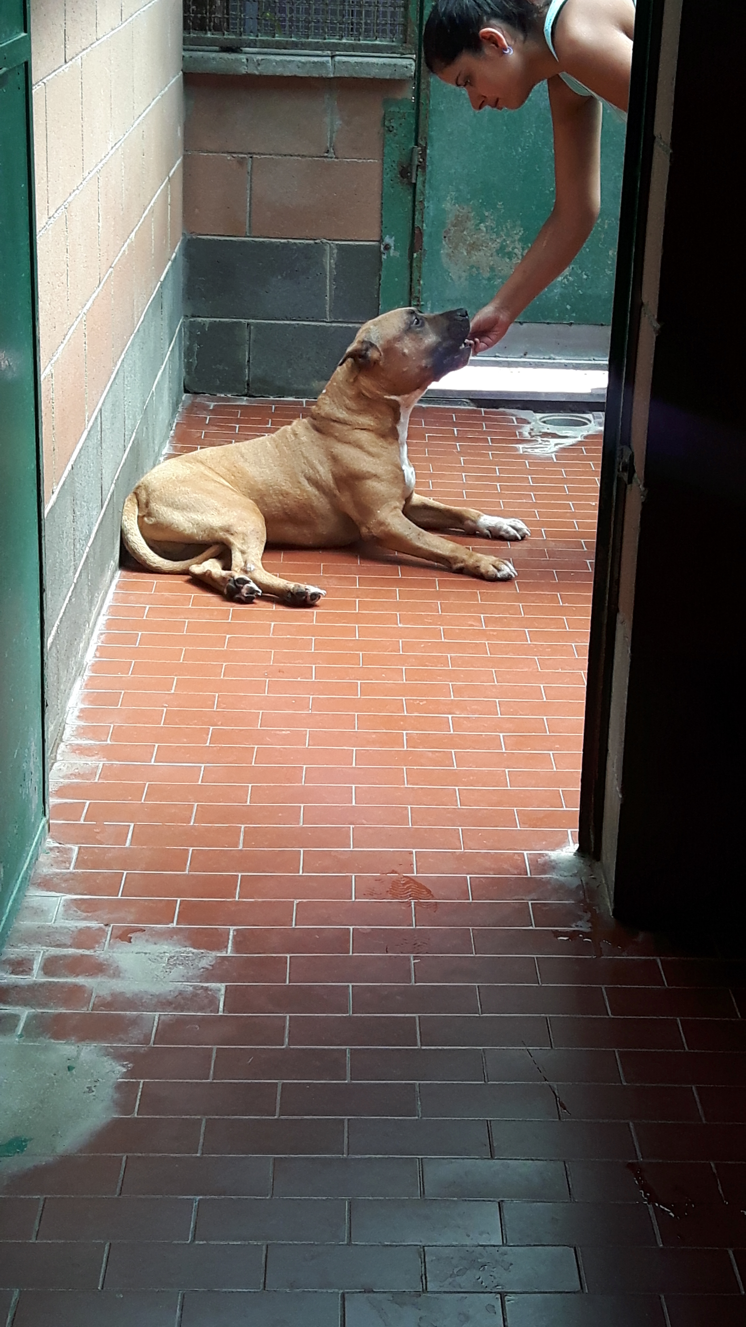 Oggi è stata una giornata importante per i nostri "ragazzi".. Manuela è arrivata con una sorpresa per tutti loro: IL GELATO! Alcuni non sapevano cosa fosse, altri hanno mandato giù e poi si sono fatti delle domande e altri non erano molto sicuri, ma TUTTI hanno apprezzato.. quindi: grazie Manu