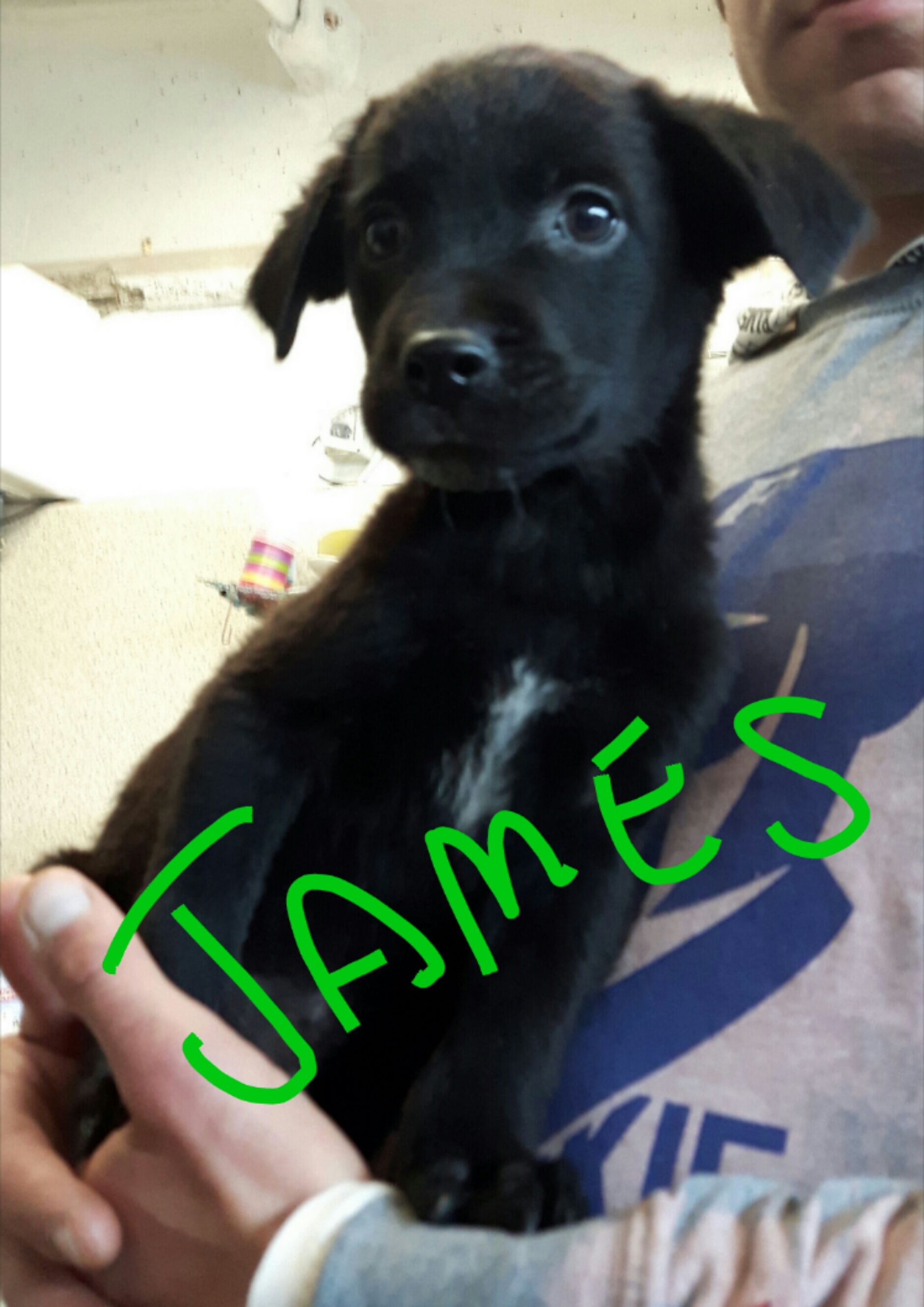 james