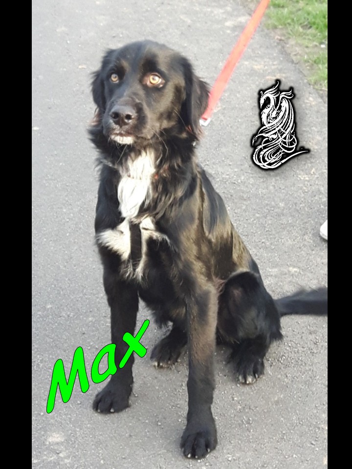 Max