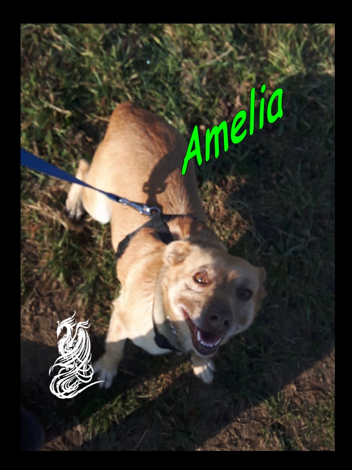 Amelia