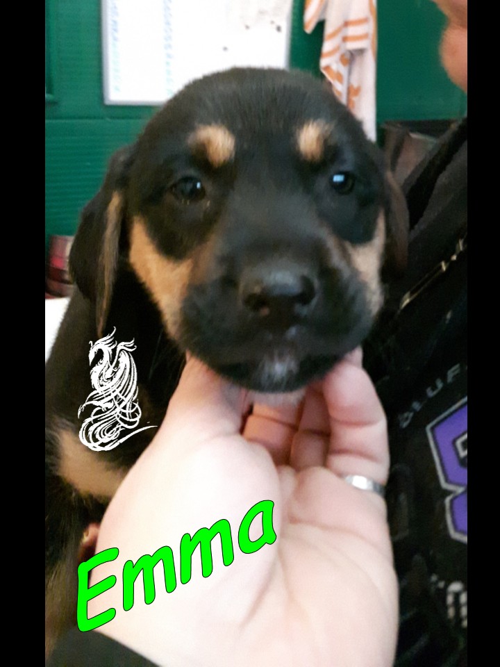 Emma