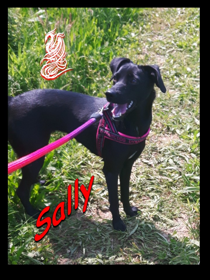 Sally