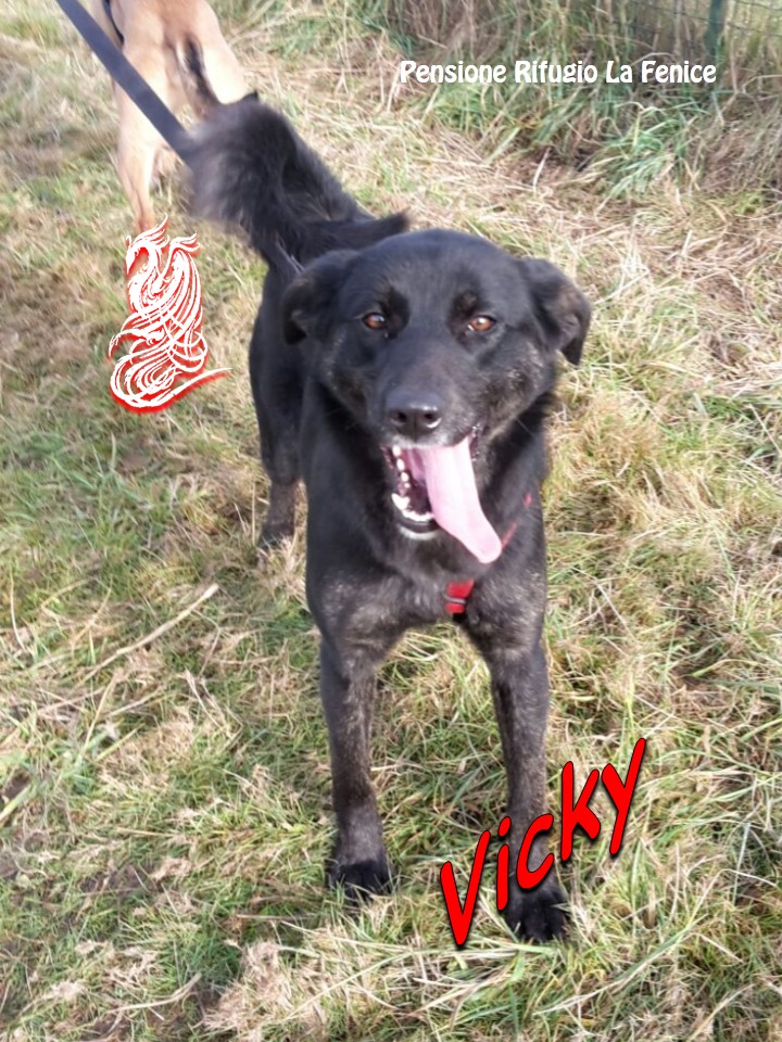 Vicky
