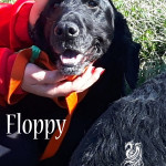 Floppy
