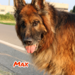 Max