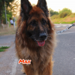 Max