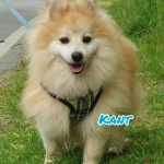 Kant